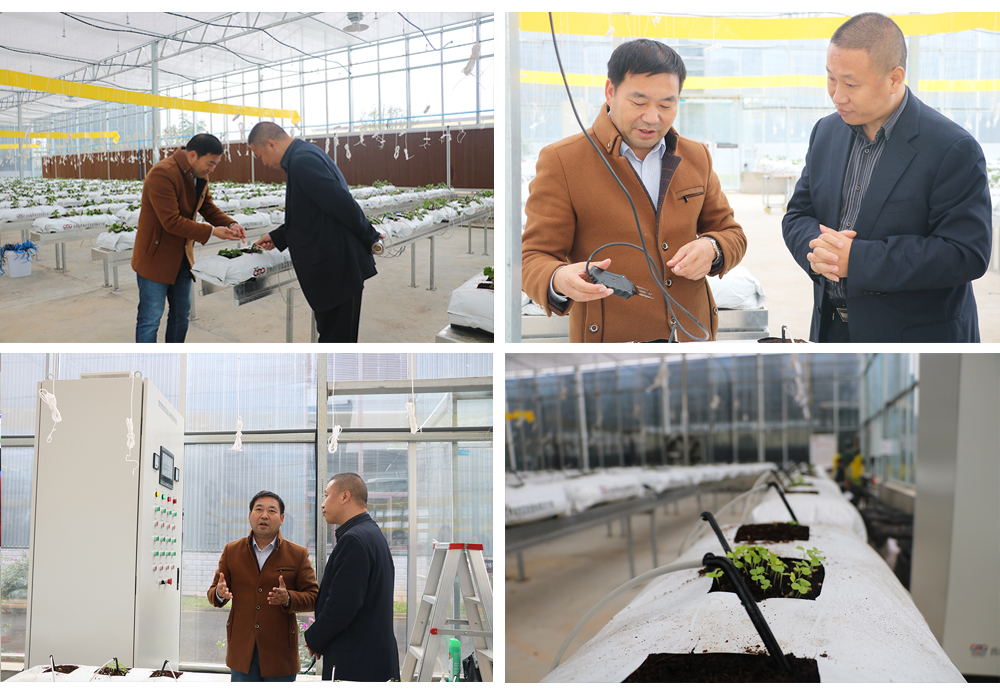 常偉書記視察（組合）3.jpg