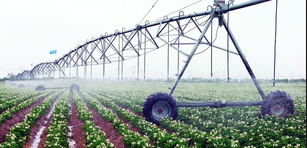 722259ef8a1437da0e207dbc5c547be.png 722259ef8a1437da0e207dbc5c547be.png